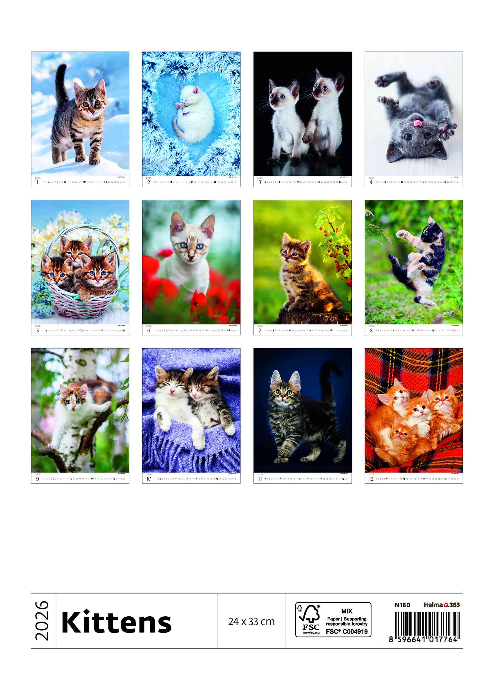 Wall calendars 2026 - Calendar Kittens