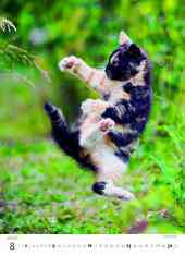 STANDARD - Calendar Kittens