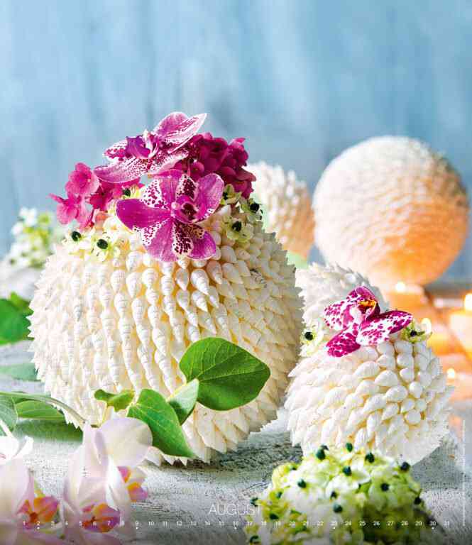 Wall calendars 2026 - Calendar Live Design