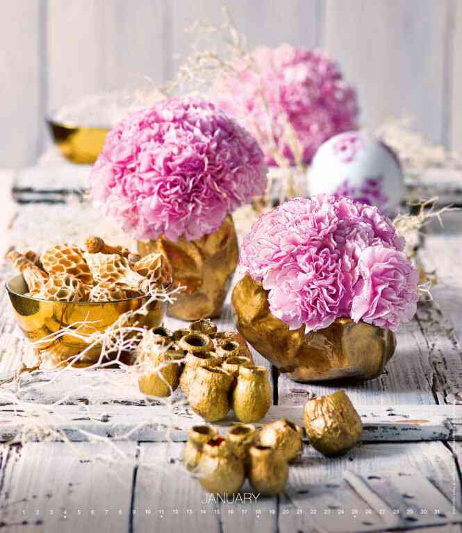 EXCLUSIVE EDITION - Calendar Live Design