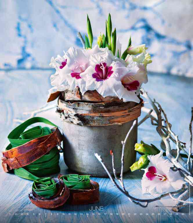 EXCLUSIVE EDITION - Calendar Live Design