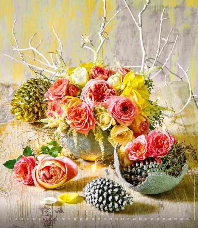 EXCLUSIVE EDITION - Calendar Live Design