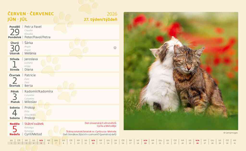 Stolové kalendáre 2026 - Kalendár Mačky