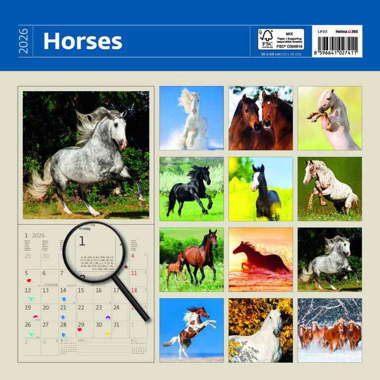 Animals - Calendar Horses