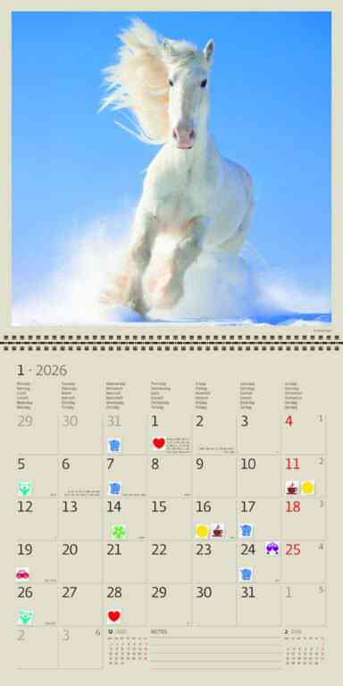 Animals - Calendar Horses