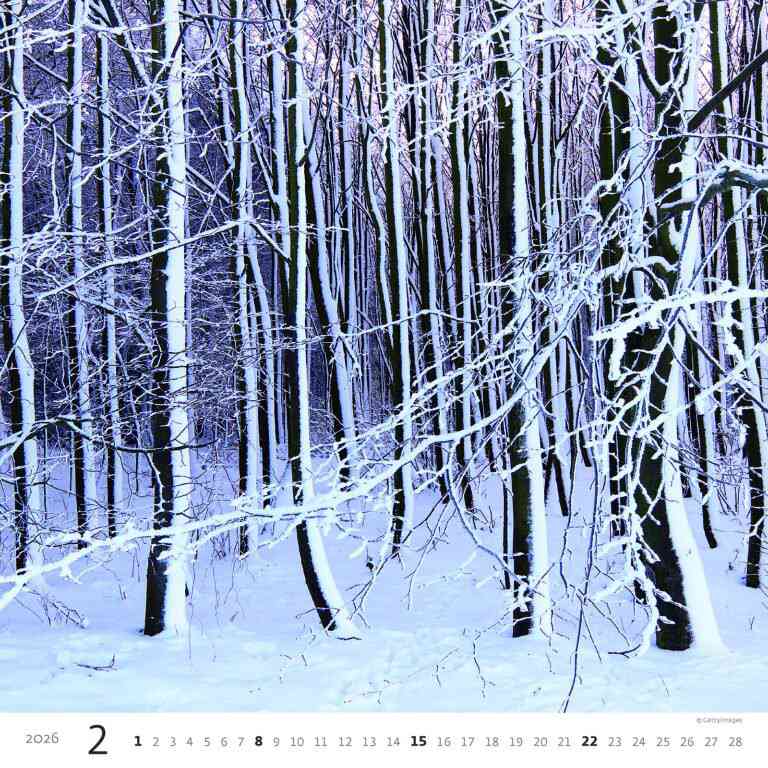 Wall calendars 2026 - Calendar Forest