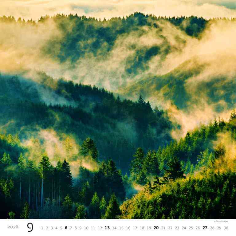 Wall calendars 2026 - Calendar Forest