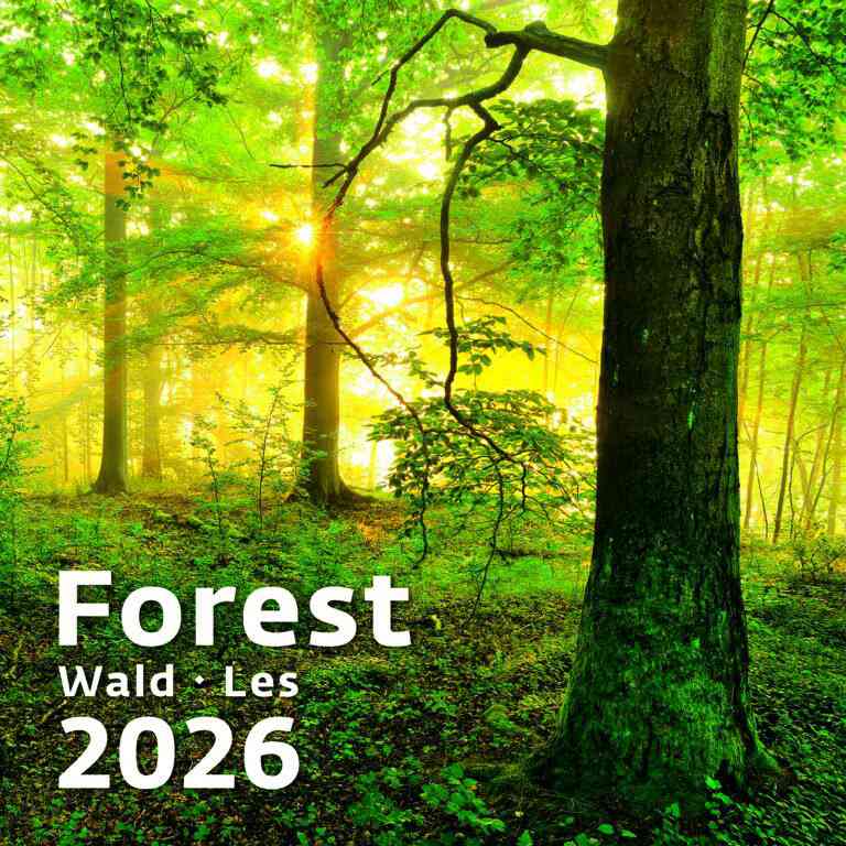 Wall calendars 2026 - Calendar Forest