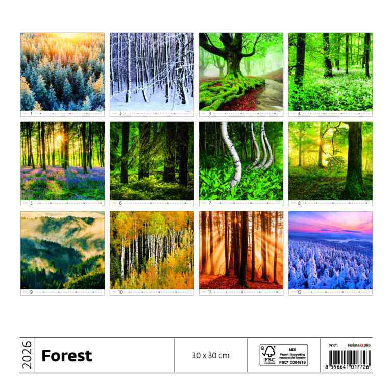 Wall calendars 2026 - Calendar Forest