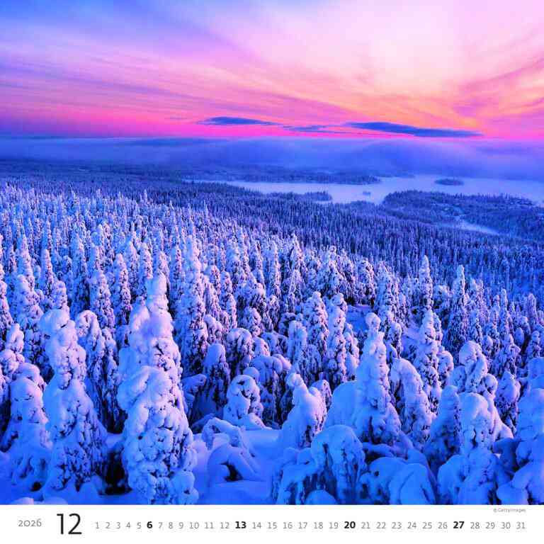 STANDARD - Calendar Forest