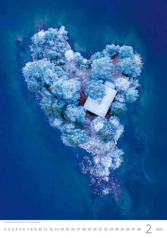 STANDARD - Calendar World from Above