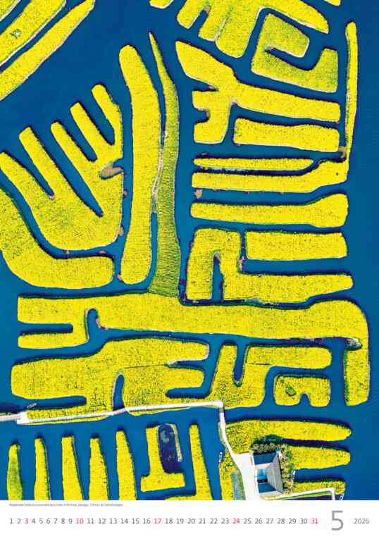 STANDARD - Calendar World from Above