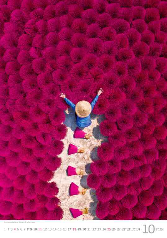 STANDARD - Calendar World from Above