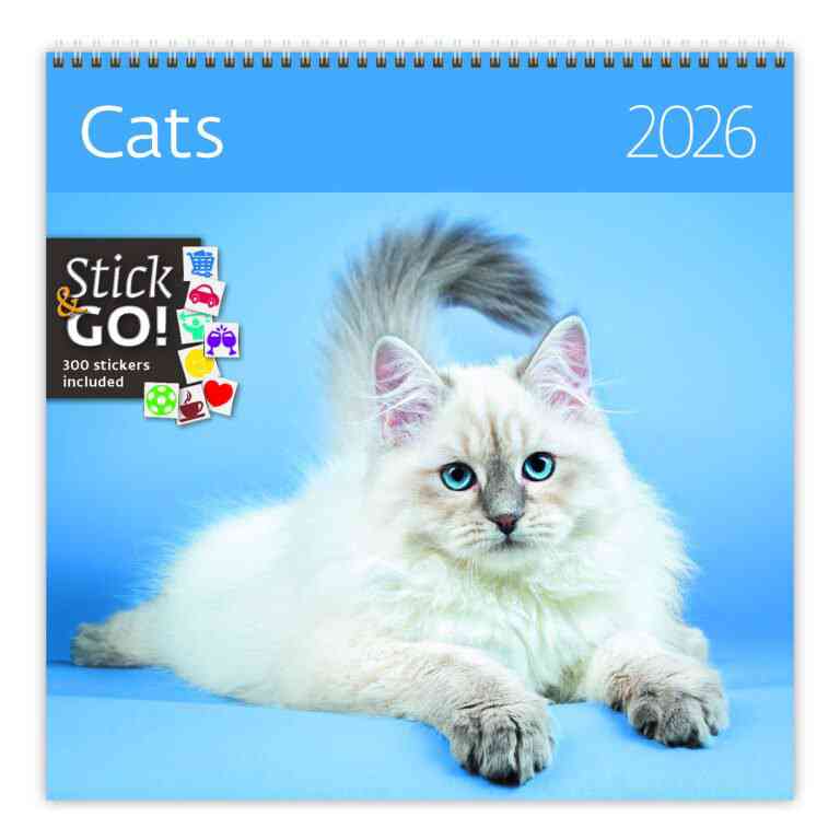 Animals - Calendar Cats