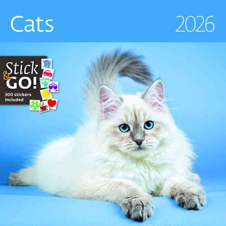 Animals - Calendar Cats