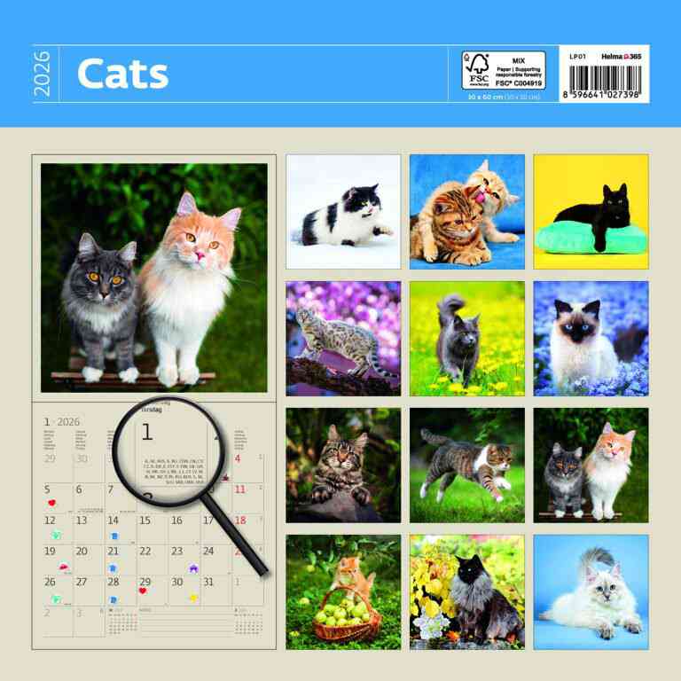 Animals - Calendar Cats