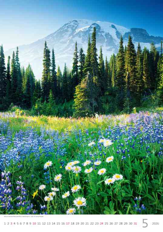 STANDARD - Calendar Mountains