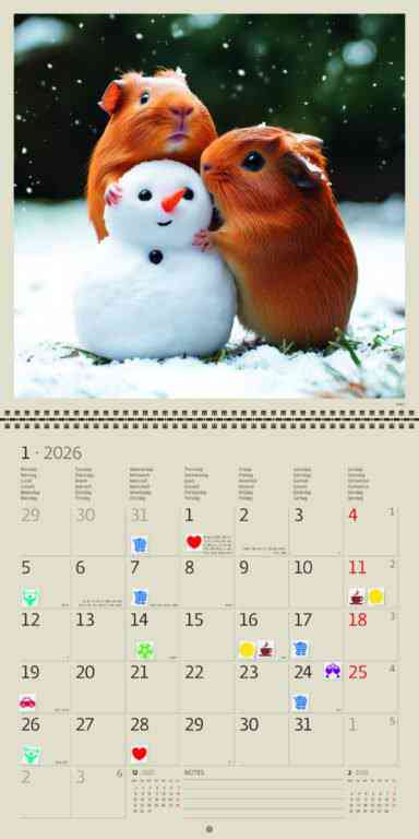 Animals - Calendar Little Fun