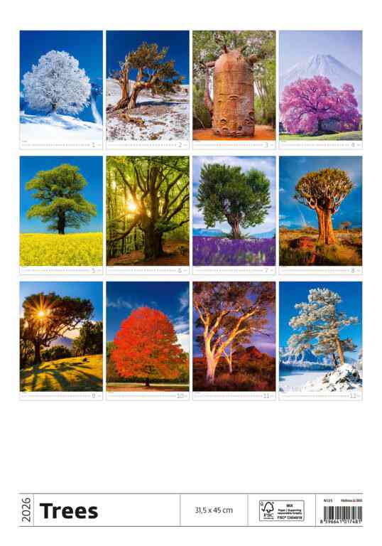 Wall calendars 2026 - Calendar Trees