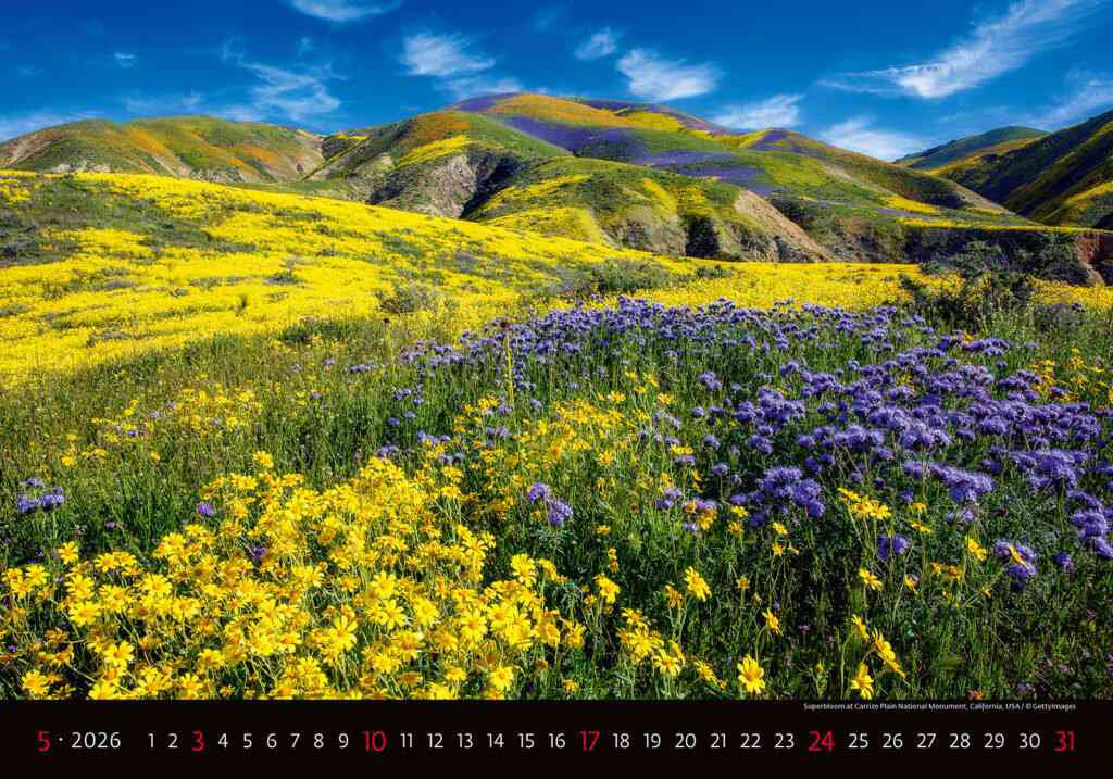 Wall calendars 2026 - Calendar Landscapes
