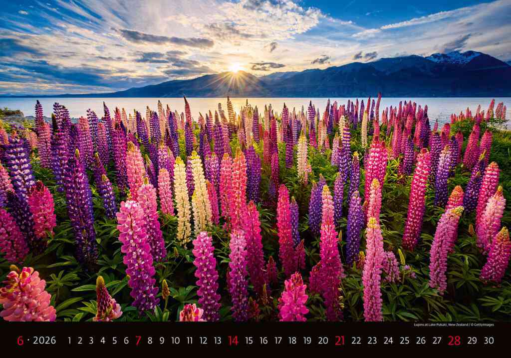 Wall calendars 2026 - Calendar Landscapes