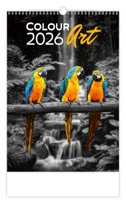 Wall calendars 2026 - Calendar Colour Art