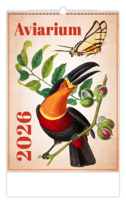 Wall calendars 2026 - Calendar Aviarium